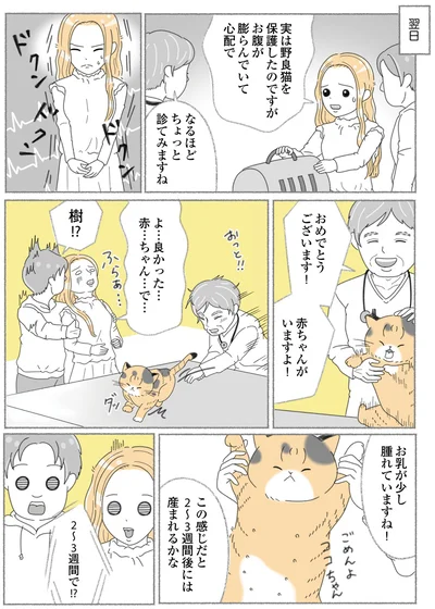 お腹が膨らんでいて