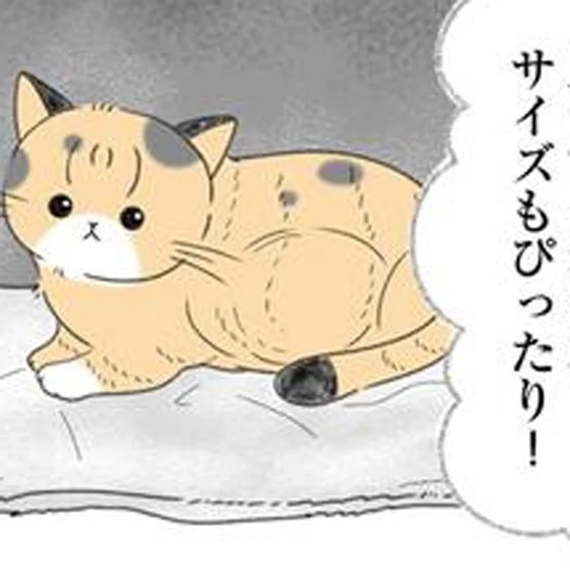 飼い猫が初めての出産。準備万端で待っていると「はっ!?うそー！」