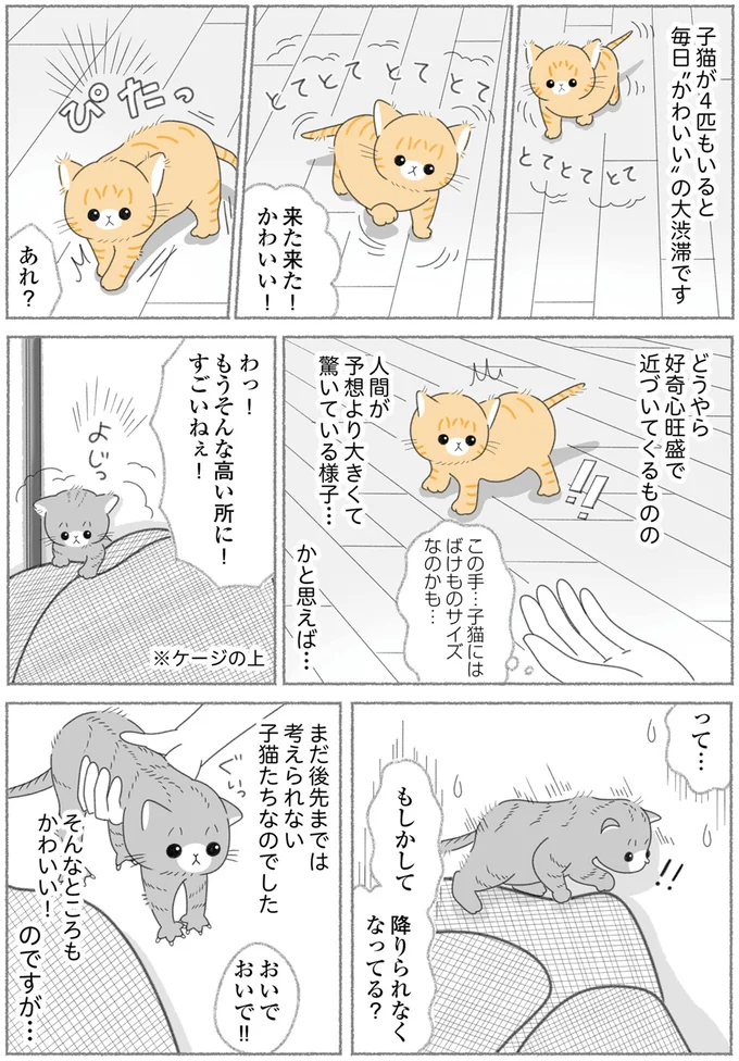 降りられなくなってる?