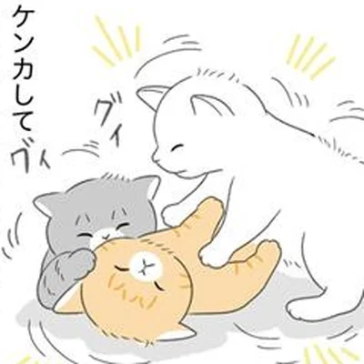 保護猫10匹との生活