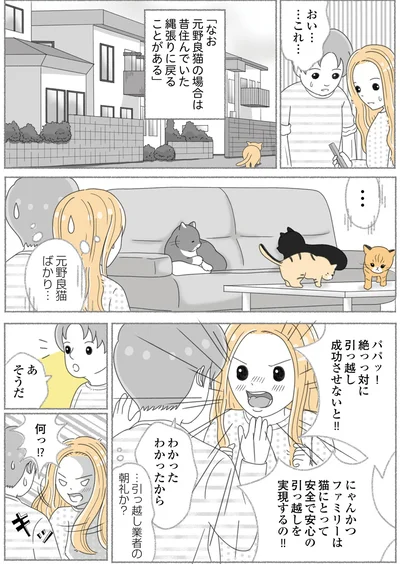 元野良猫ばかり…