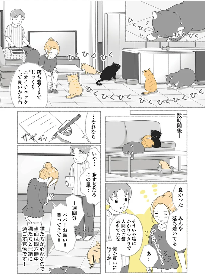 みんな落ち着いてる