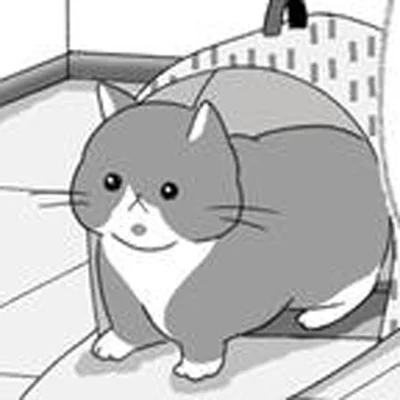 新しい家に引越し