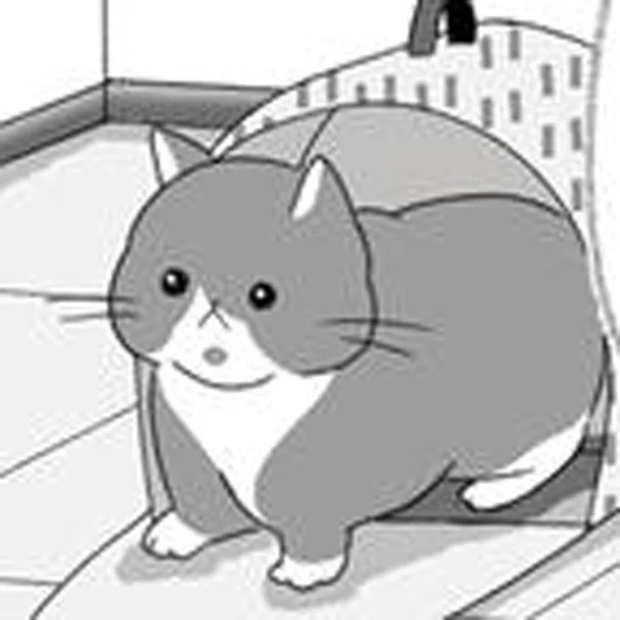新しい家に引越し