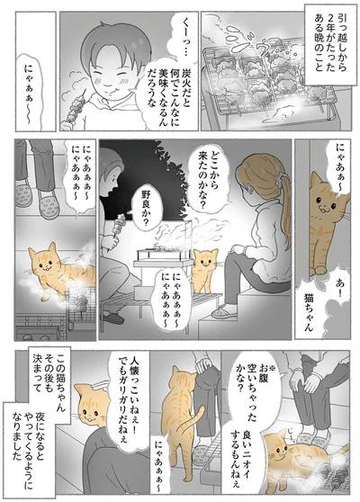 どこから来たのかな？