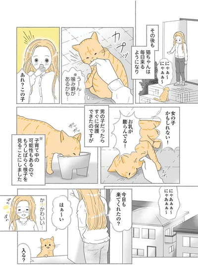 毎日来るようになり