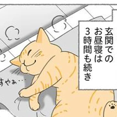 玄関で3時間も爆睡!?