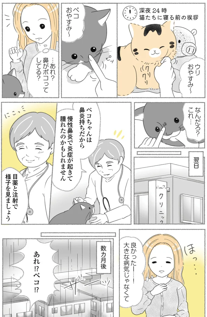 鼻がポコってしてる?