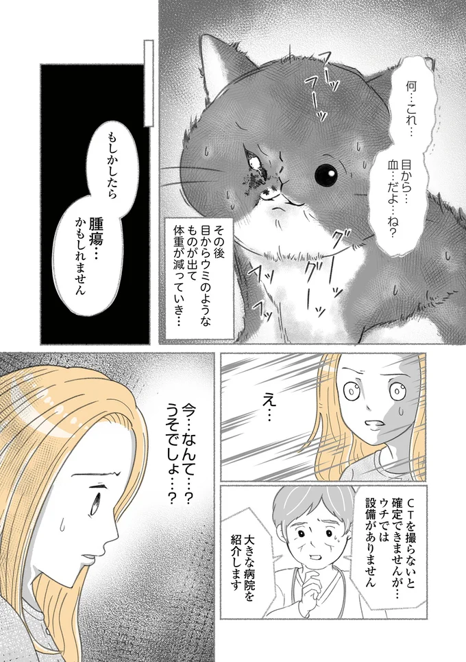大きな病院を紹介します