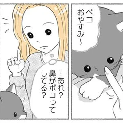 …あれ？