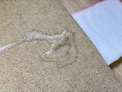 炭酸水がシュワシュワし、汚れを浮かす（▶次へ）