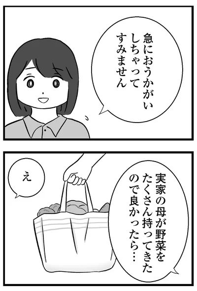 『私はあのママ友より幸せだと思っていたのに』より