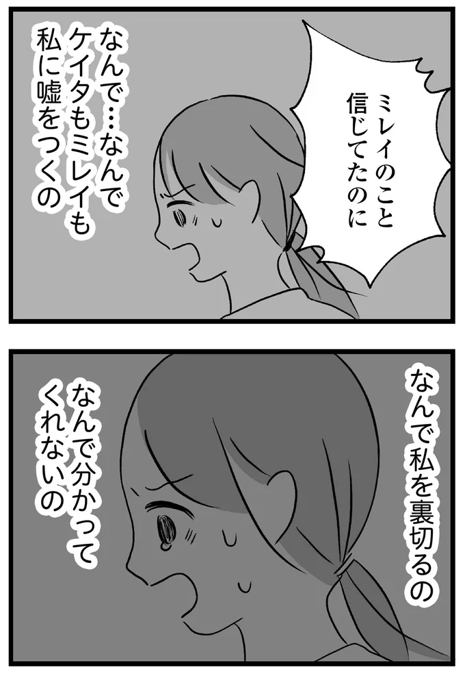 『私はあのママ友より幸せだと思っていたのに』より
