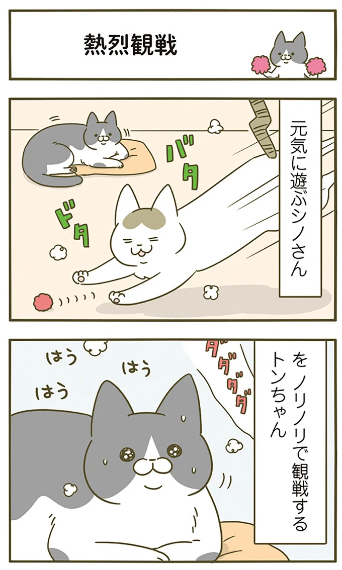熱烈観戦