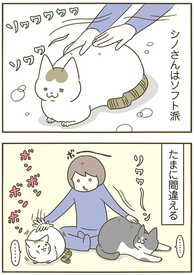 たまに間違える