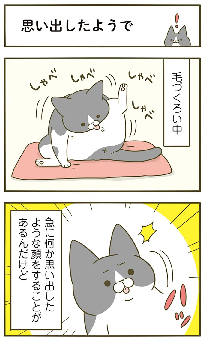 思い出したようで