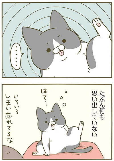 思い出していない