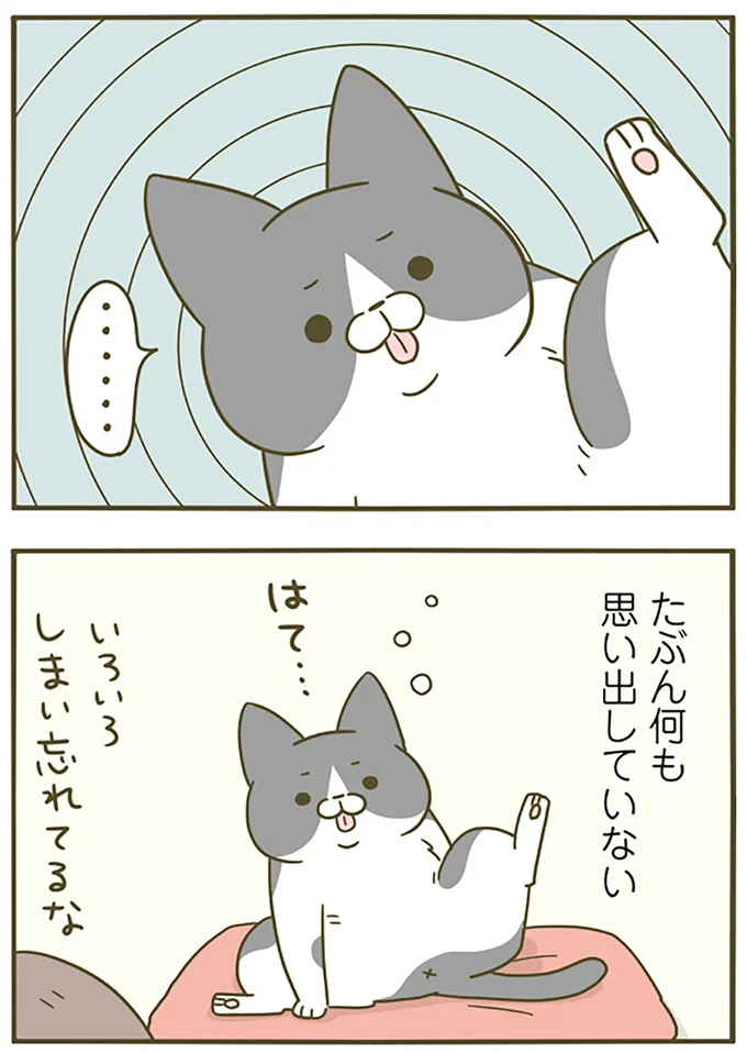 思い出していない