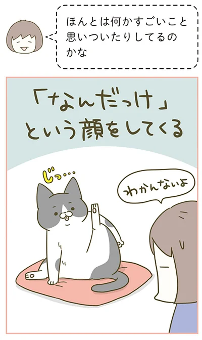 「なんだっけ」って顔してくる