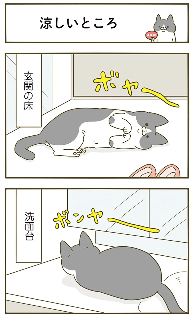 『うちの猫がまた変なことしてる。4』より