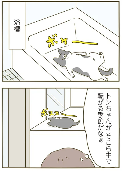 『うちの猫がまた変なことしてる。4』より