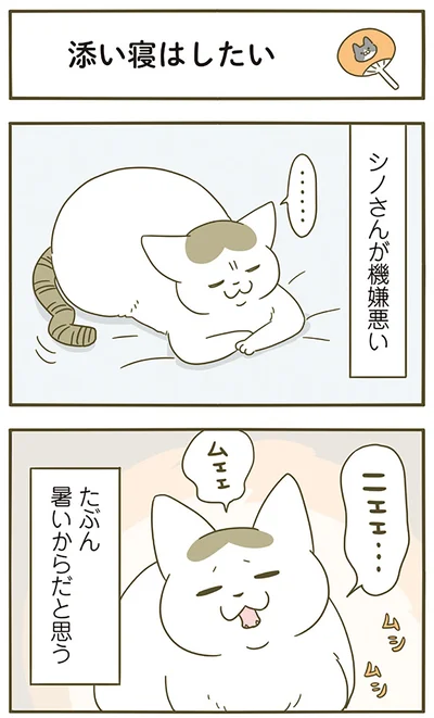 『うちの猫がまた変なことしてる。4』より