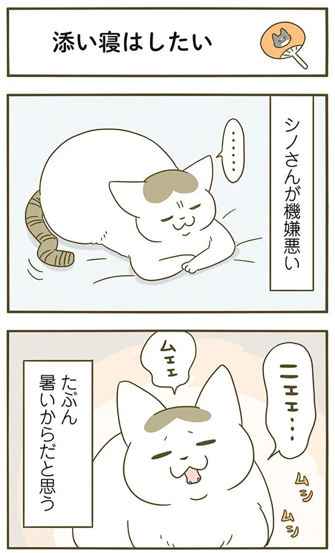 『うちの猫がまた変なことしてる。4』より