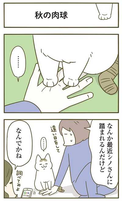 『うちの猫がまた変なことしてる。4』より