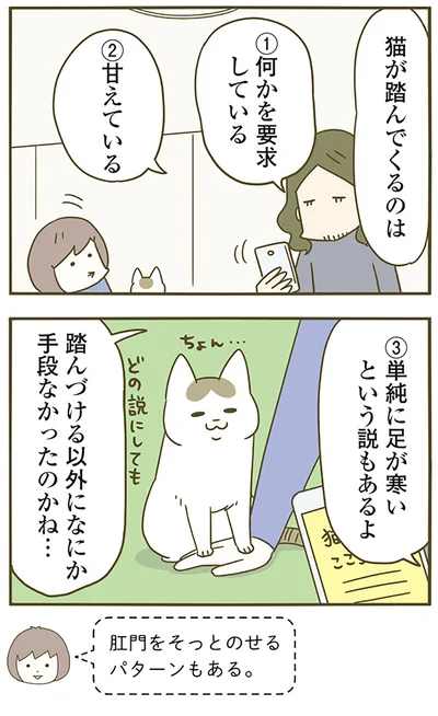 『うちの猫がまた変なことしてる。4』より