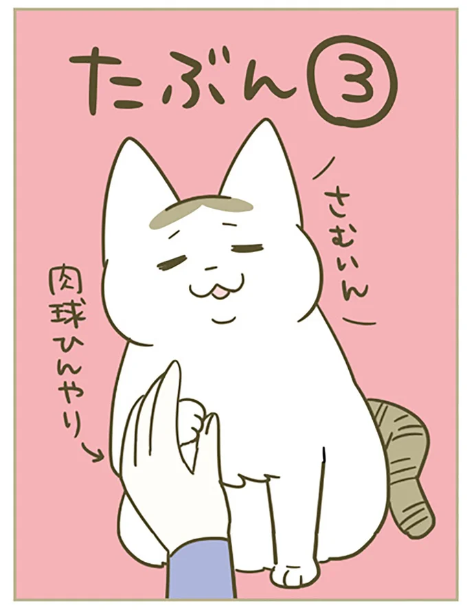 『うちの猫がまた変なことしてる。4』より