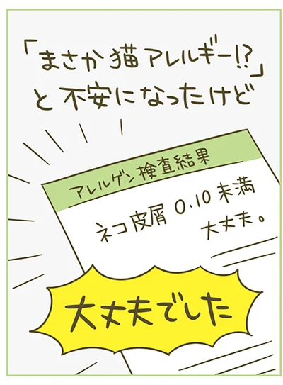 『うちの猫がまた変なことしてる。4』より