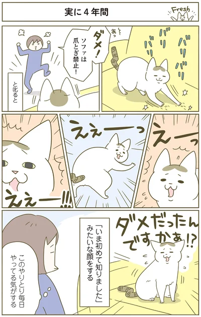 『うちの猫がまた変なことしてる。4』より