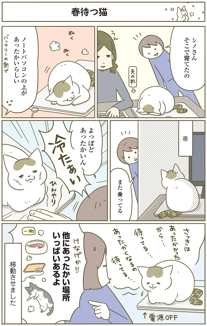 『うちの猫がまた変なことしてる。4』より