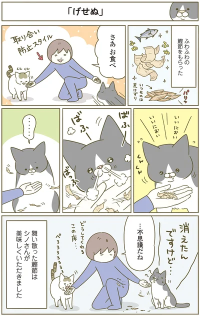 『うちの猫がまた変なことしてる。4』より