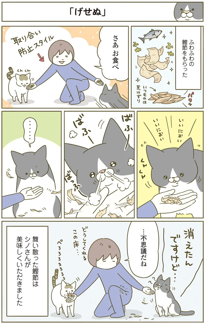 『うちの猫がまた変なことしてる。4』より