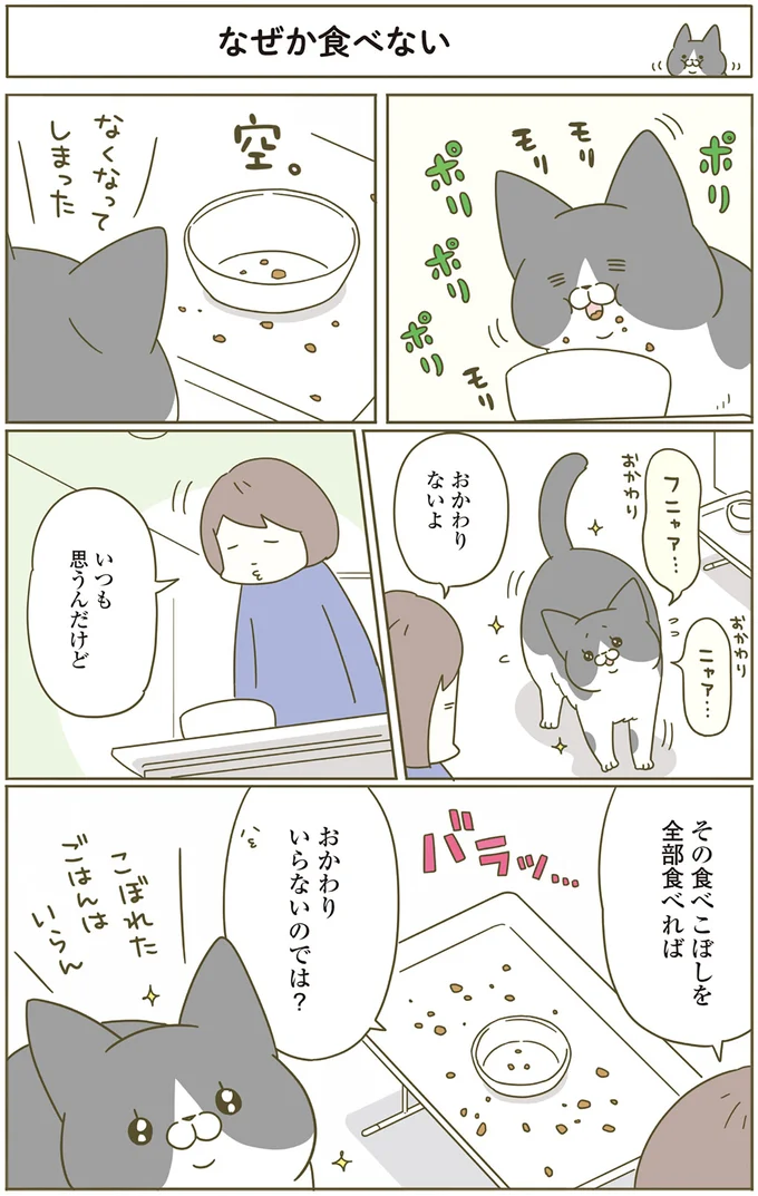『うちの猫がまた変なことしてる。4』より
