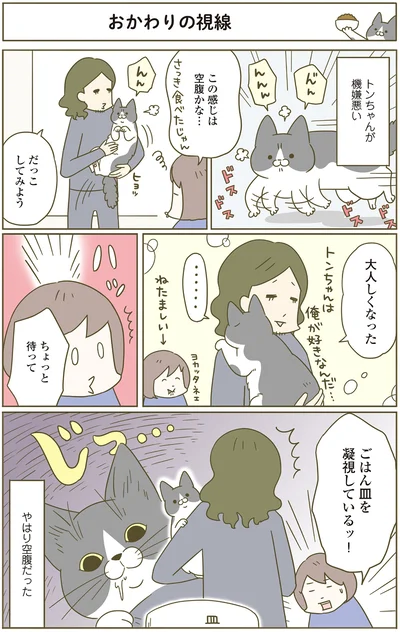 『うちの猫がまた変なことしてる。4』より