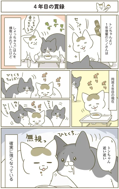 『うちの猫がまた変なことしてる。4』より