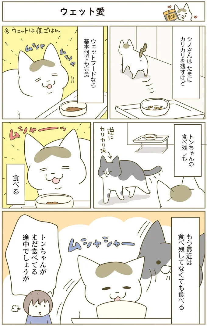 『うちの猫がまた変なことしてる。4』より