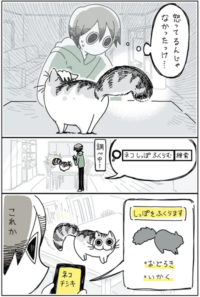 『夜は猫といっしょ 2』より