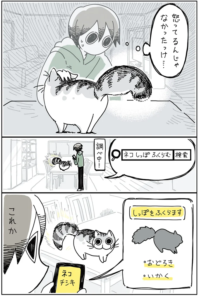 『夜は猫といっしょ 2』より