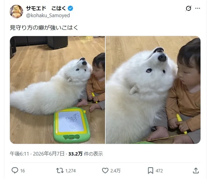 「見守り方のクセ」が話題になりました▶︎ぴったりとくっつくワンコと息子さん(⇒次へ)