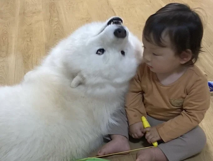 しっかりと息子さんを見守っています▶︎赤ちゃんの頃から仲良し(⇒次へ)