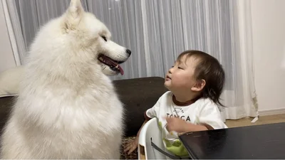 仲良し姉弟▶︎ちょっとせつない表情のこはくちゃん（⇒次へ）