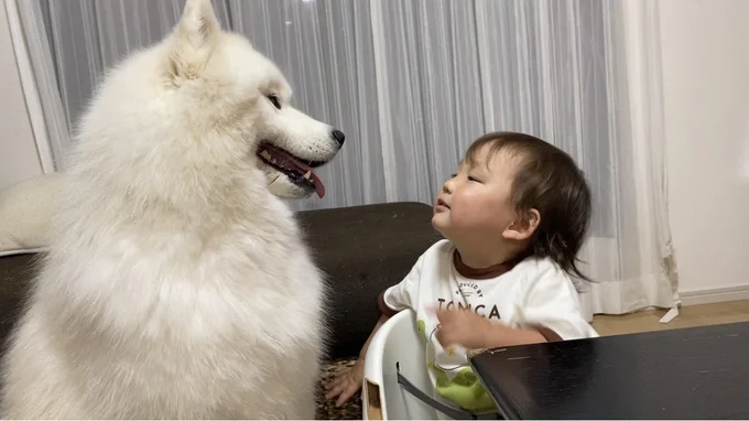 仲良し姉弟▶︎ちょっとせつない表情のこはくちゃん（⇒次へ）