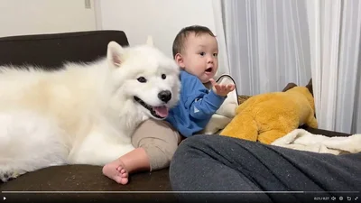 ずっと仲良く一緒に成長していってね！（次画像から娘と過保護な猫たちとの癒し×笑い×涙アリの日常コミック『マジレス幼児とモンペ猫　口達者な娘と過保護すぎる猫たちとの日常』が読めます）