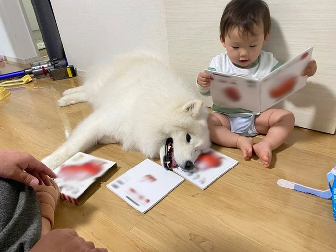 延々と同じ本の音読に付き合わされてさすがに疲れたこはくちゃん▶︎顔を見合わせて(⇒次へ)