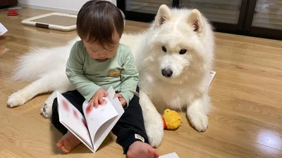 突然絵本の読み聞かせを任されて、困惑するこはくちゃん▶︎頼もしい保護者の見守り（⇒次へ）