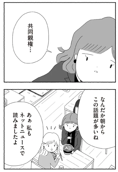 『離婚しても終わらない 共同親権がはじまる日』より