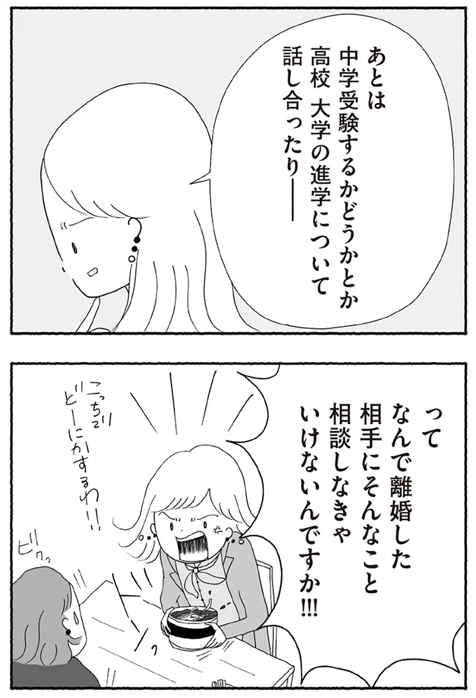 『離婚しても終わらない 共同親権がはじまる日』より